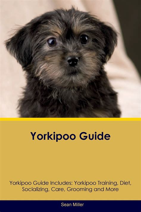 Yorkipoo Guide Yorkipoo Guide Includes Yorkipoo Training Diet