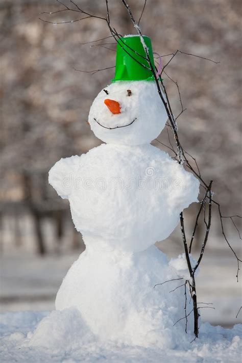 Fun Snowman In Park Stock Image Image Of Close Nature 108834633