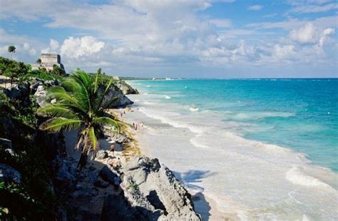 🥇 Las 8 Mejores Excursiones En Riviera Maya ️ Los Viajes De Domi