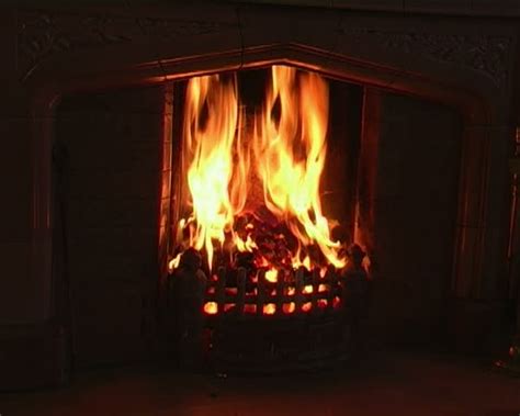 A Roaring Fire Blazing Away Stock Footage Video 100 Royalty Free