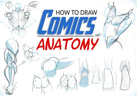 How To Draw Comics Anatomy Ed Foychuk Skillshare