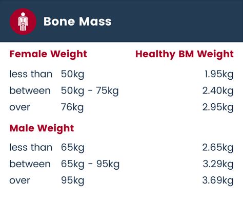 Bone Mass Learn More About Your Bones Tanita Europe
