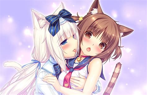 Free Download Hd Wallpaper Anime Nekopara Azuki Nekopara Chocola Nekopara Cinnamon