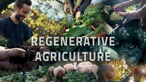 What Is Regenerative Agriculture Youtube