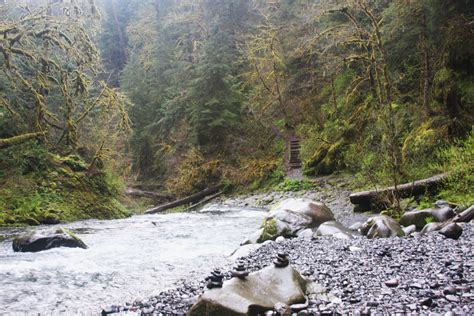 This Is The Bottom Of The Side Spur Going Down To Punchbowl Falls From