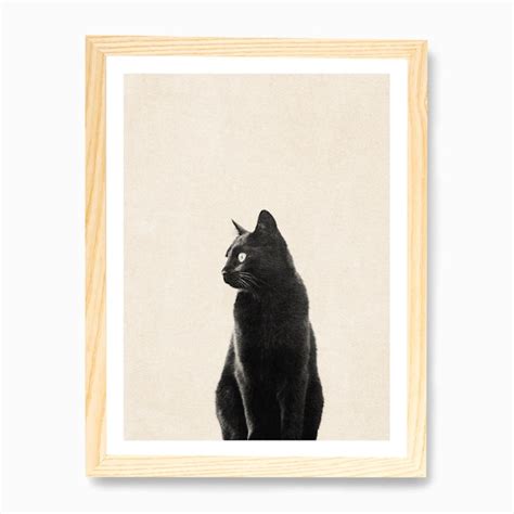 Black Cat Art Print By Daniel Coulmann Fy