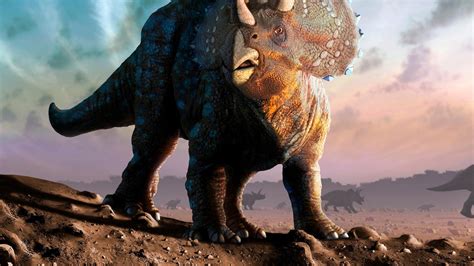 Triceratops Horridus Facts And Photos