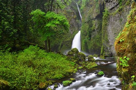 Wahclella Falls — Washington Trails Association