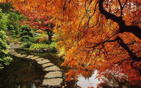Path In Japanese Garden
