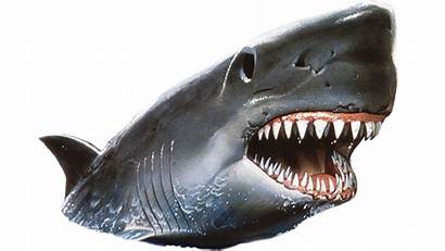 Shark Jaws Pluspng Universal Studios Ride Transparent