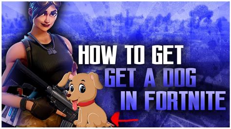 How To Get An Attack Dog In Fortnite Battle Royale Youtube