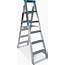 Step Extension Ladders  Astrolift