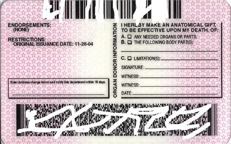 Drivers Licence Barcode Format Template Lasopascore