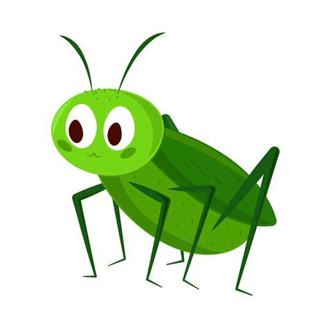 Cricket Insect Cartoon 14217509 Vector Art At Vecteezy