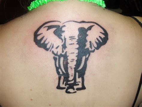 Elephant Tattoo Designsanimal Tattooanimal Tattoo
