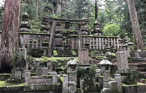 Discover Your Spiritual Side At Koyasan All About Japan