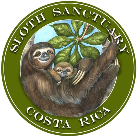 Sloth Sanctuary in Costa Rica | Sloth, Costa rica sloth, Costa rica