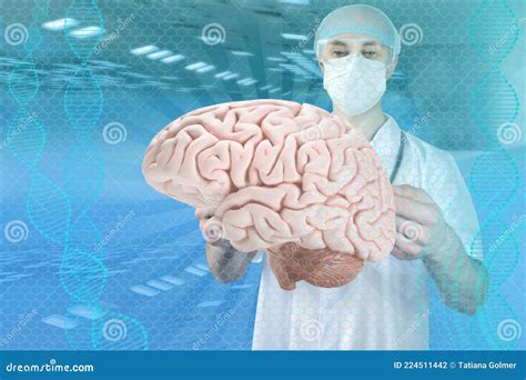 Doctor Scientist Is Studying The Human Brain The Concept Of Medical