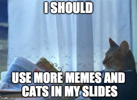 I Should Buy A Boat Cat Meme Imgflip