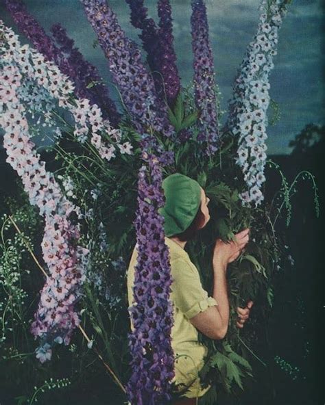 Daniel On Instagram Uknown Woman With Delphiniums From The
