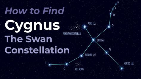 Cygnus The Swan How To Id The Star Pattern
