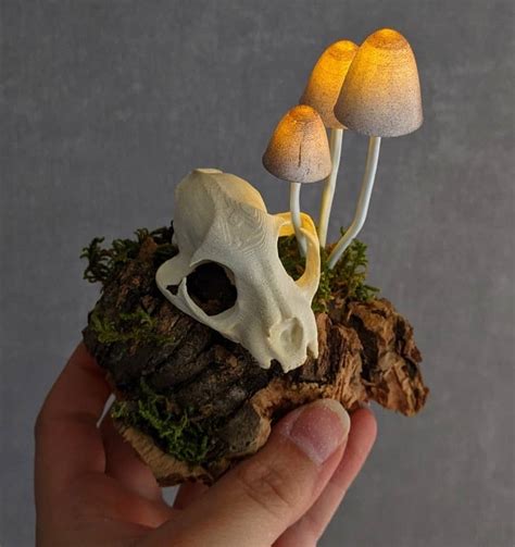 Sosuperawesome Nightlights Shelf Mushroom Pins