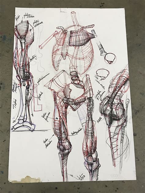 Body Sketches Anatomy Sketches Art Drawings Sketches Human Anatomy