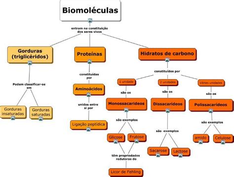 Faça Um Mapa Conceitual Abordando As Biomoleculas E Suas Principais