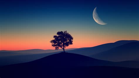 1366x768 Resolution Tree Alone Dark Evening 4k 1366x768 Resolution