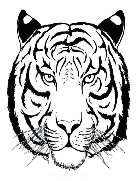 Голова тигра контурный рисунок 62 фото Рисунки для срисовки и не только