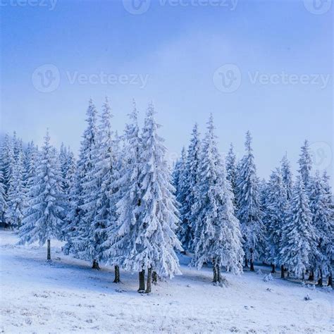 Wonderful Winter Landscape 6946635 Stock Photo At Vecteezy