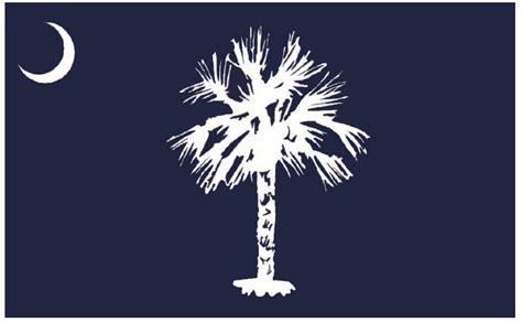 South Carolina Historians Settle On A New State Flag