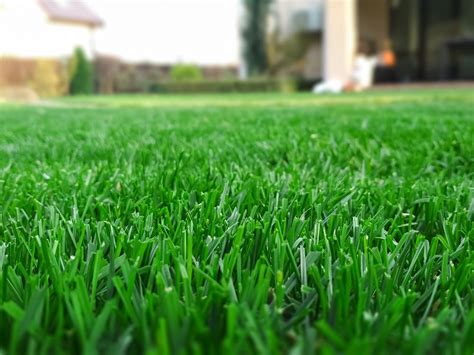 How Do I Keep My Grass Green In The Summer Kansas Turfmasters