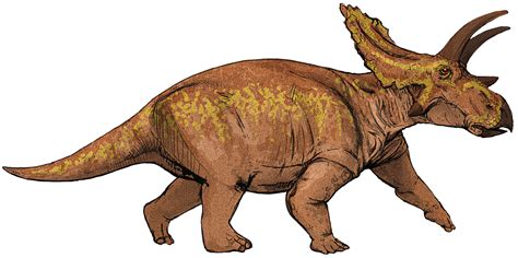 Fileanchiceratops Dinosaurpng Wikimedia Commons