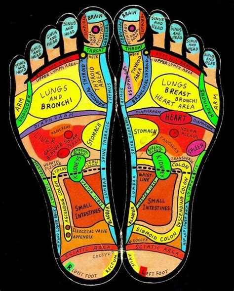 Pin By Jenavieve Christine On Massage Manifestations Xoxo Reflexology Foot Massage Foot