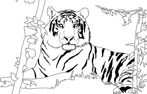 Lion And Tiger Coloring Pages At Free Printable