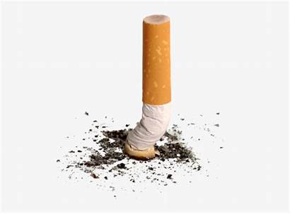 Cigarette Butts Smoking Smoke Clipart Ash Cliparts