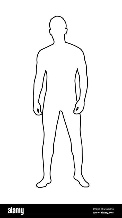 Body Outline Contorno Del Cuerpo Humano Silueta Del Cuerpo Humano