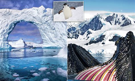 Photographer Ira Meyer Unveils His Top Antarctica Shots Daily Mail Online
