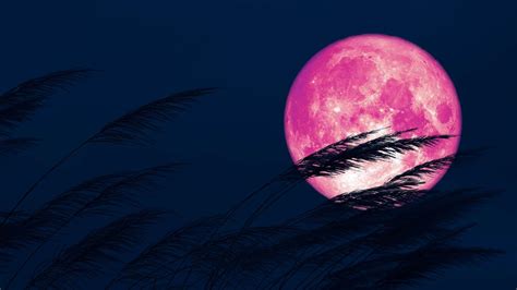 Full Moon April 2023 When Is The Next Full Moon How And Where To See