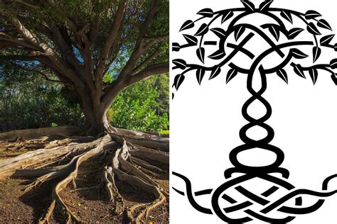 Facts About Tree Of Life Symbol Meanings And Myths Beadnova