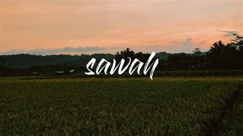 Sawah Cinematic Video Youtube