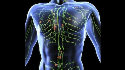 Lymphatic Drainage Therapy Youtube