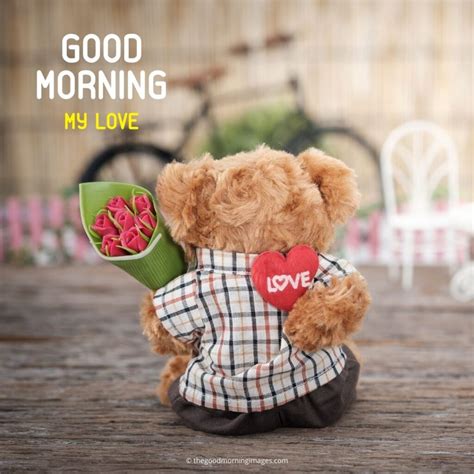Extensive Collection Of 4k Good Morning Teddy Images Over 999