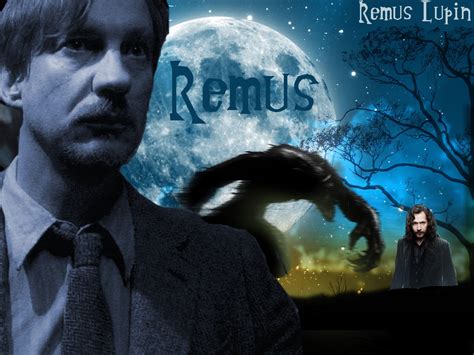Remus And Sirius Wallpaper By Schniefelus On Deviantart