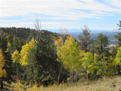 Mountain Property For Sale In Cripple Creek Colorado For Sale In