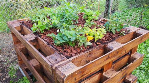 Hochbeet befüllen Tipps zum Schichten Füllen Plantura