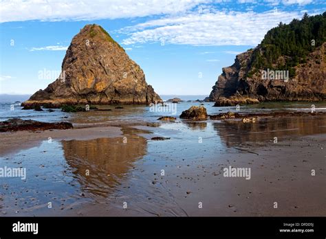 Whaleshead Rock Reflects In The Sands Of Whaleshead Beach In Southern Oregon North Of The Town