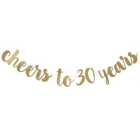 Cheers To 30 Years Banner 30th Birthday Decorations 30 Etsy Canada