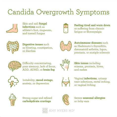Candida Overgrowth 10 Signs And The Best Solution Amy Myers Md